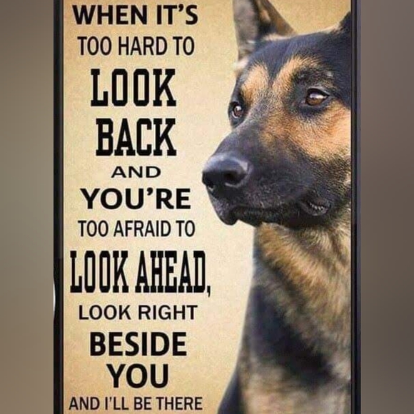 Meet your Poshers, Los Carmenatty - Picture 15 of 16